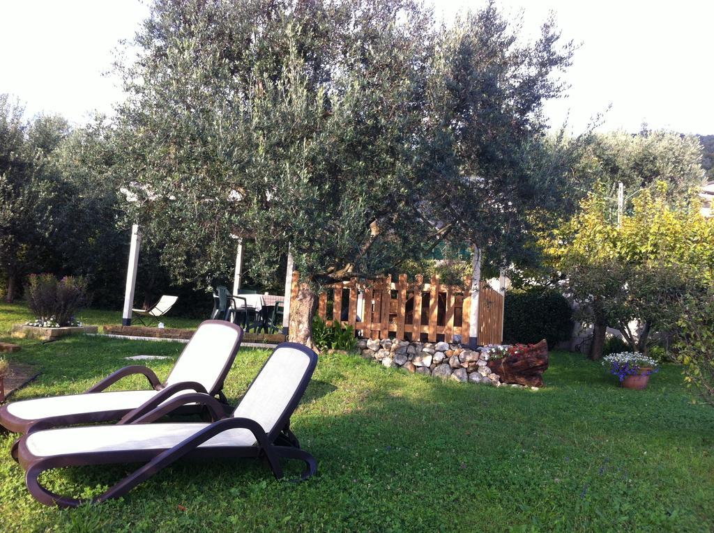 Agriturismo Casa Rosa Верона Экстерьер фото