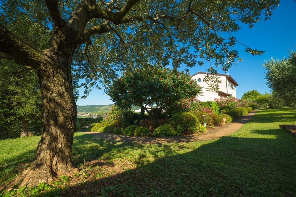 Agriturismo Casa Rosa Верона Экстерьер фото